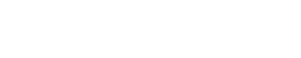 Facebook Wordmark 1